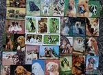 Календарики 90 х собаки коллекция
