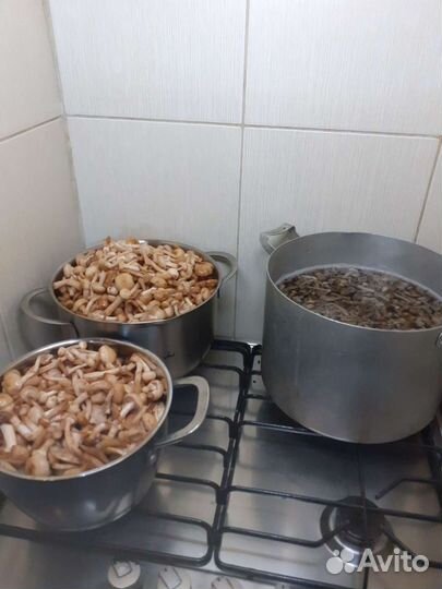 Грибы маринованные
