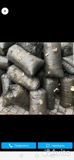 Грибные отработанные блоки