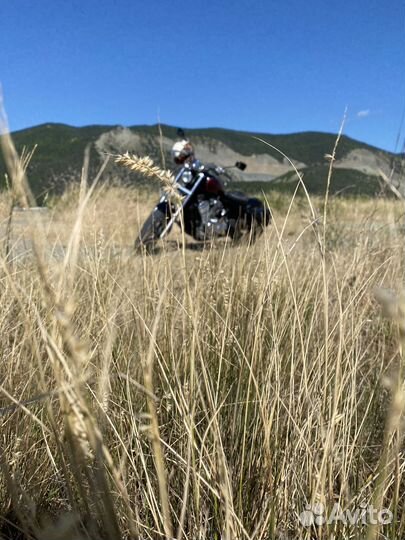 Honda steed 600