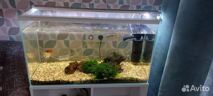 Аквариум с тумбой