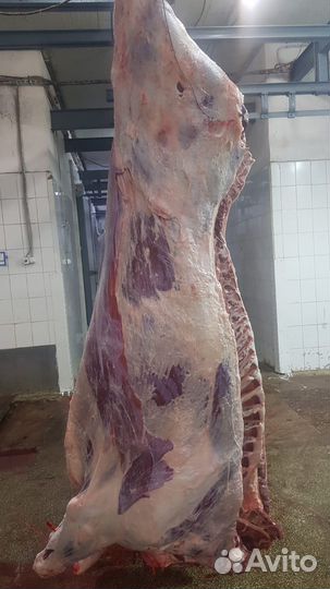 Мясо оптом