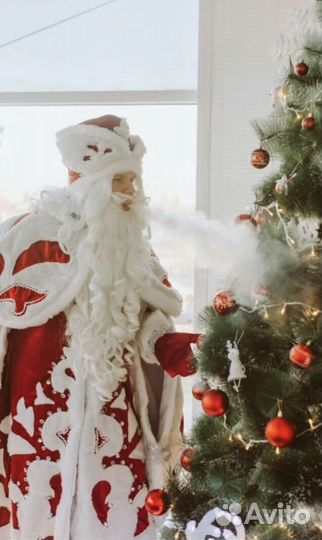 Аниматоры/Мыльное/Химическое/Крио шоу/Дед Мороз