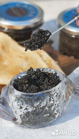 Черная икра