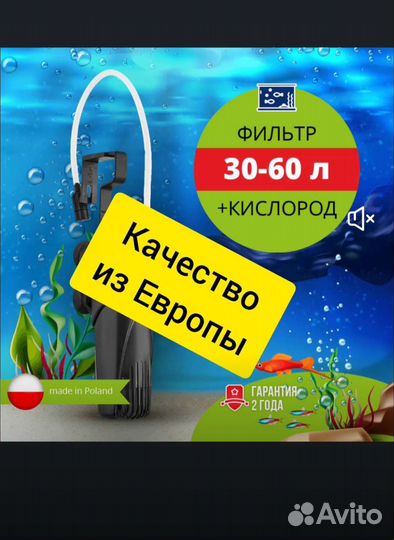 Аквариум с крышкой панорамный со всем содержимым