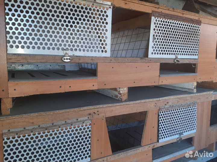 Клетка для кролика