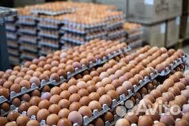 Разнорабочий Грузчик ежедневные выплаты Порт-Артур