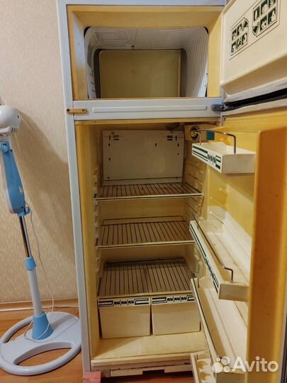 Холодильник чинар