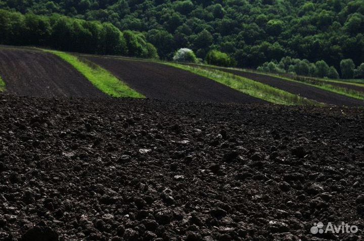 Грунт растительный