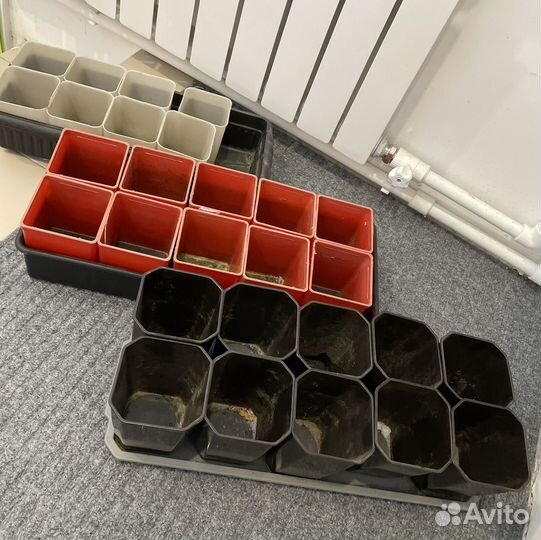 Горшки с поддонами для рассады