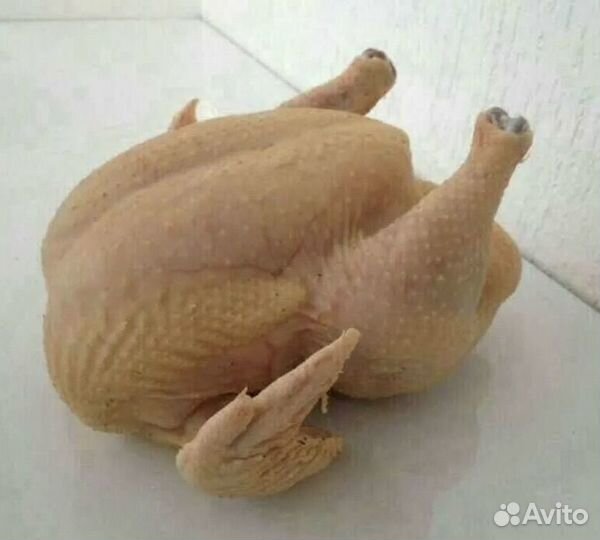 Мясо домашнего бройлера