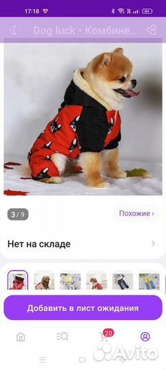 Комбинезон для маленькой собаки