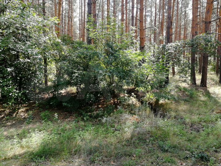 Участок 10 сот. (СНТ, ДНП)