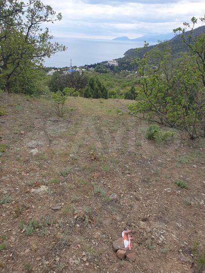 Участок 5,2 сот. (ИЖС)