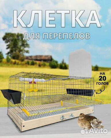 Клетки для перепелов