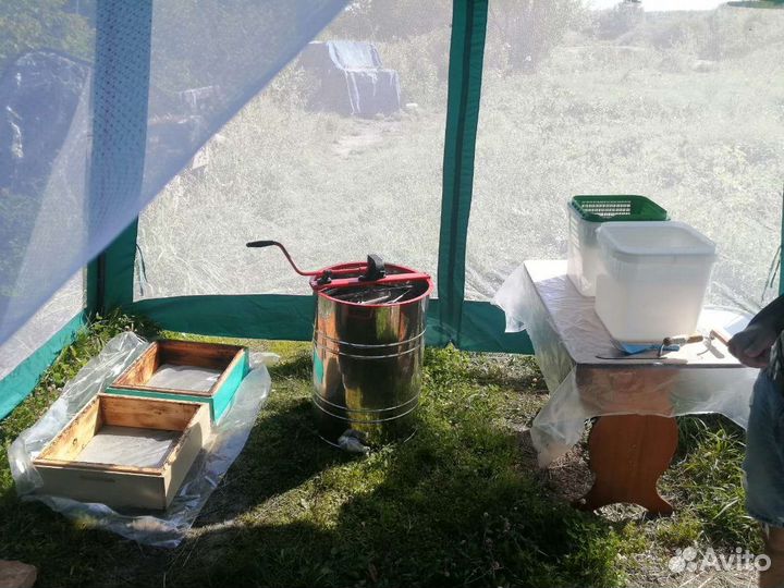 Мёд 2023, свежий урожай