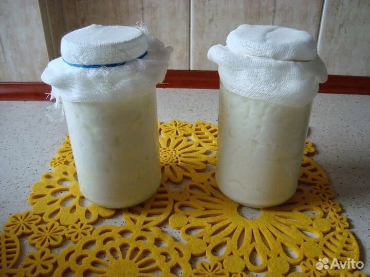 Тибетский молочный гриб