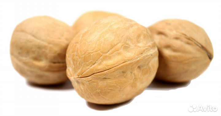 Орех грецкий тонкокорый.Чили