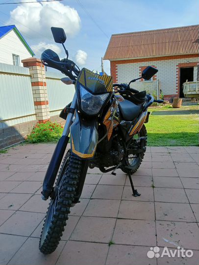 Avantus MT 250