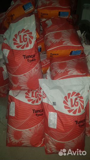 Семена подсолнечника гибрид