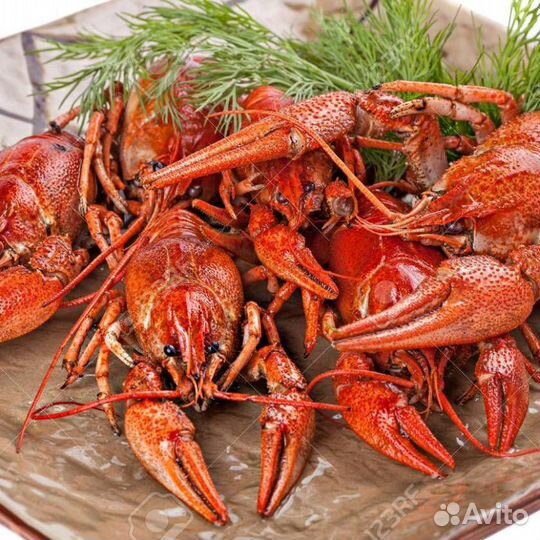 Раки
