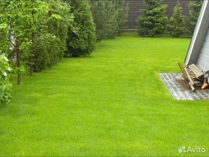 Рулонный газон Стандарт под ключ