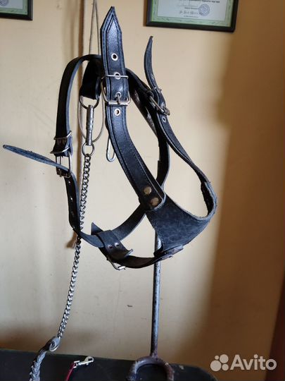 Шлейка кожаная для большой собаки и поводок