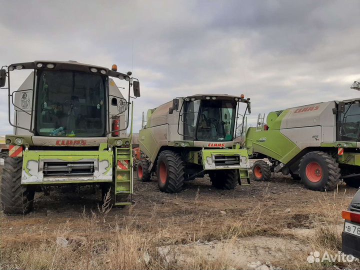Уборка урожая комбайнами Claas Tucano 430