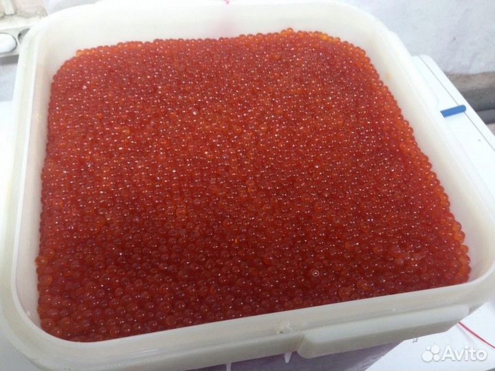 Красная икра