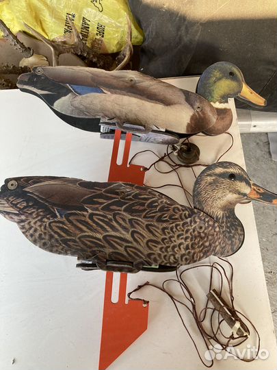 Чучела уток для охоты