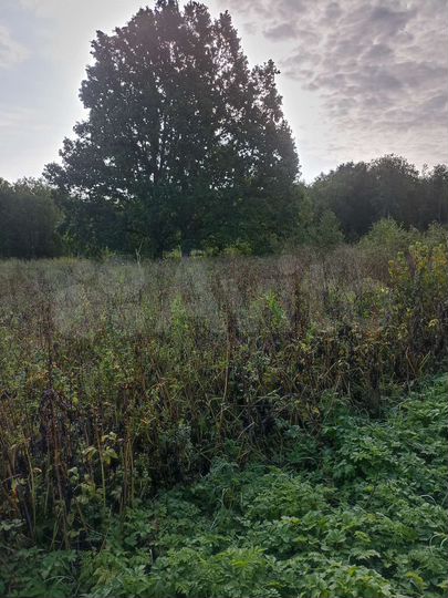 Участок 60 сот. (ИЖС)