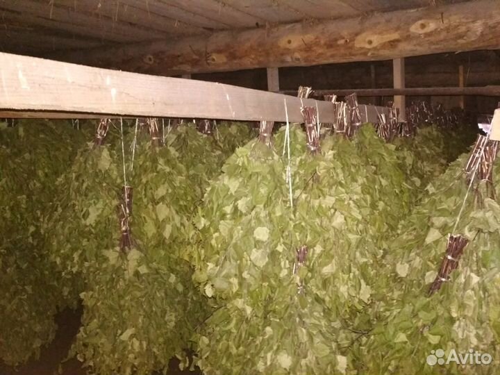 Банные веники