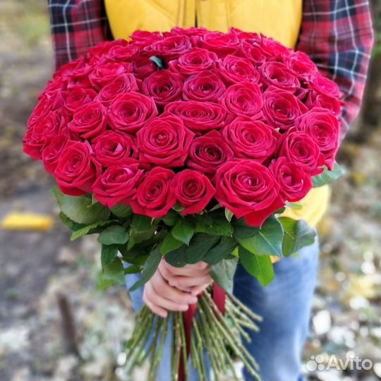 101 роза 40 см