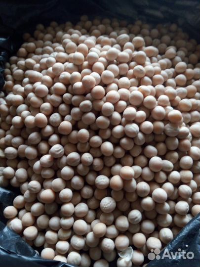 Овес.Горох. Ячмень.Пшеница.Лён.Семена