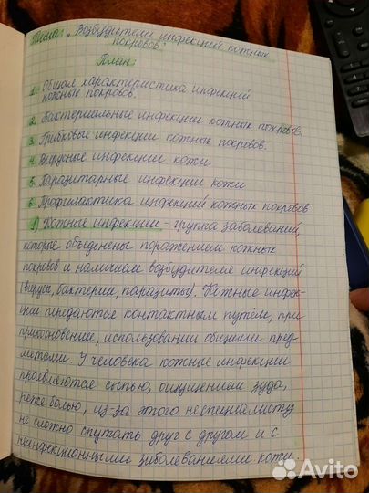 Перепишу лекции, конспекты и т.д