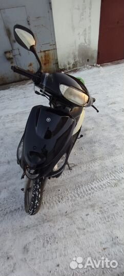 Grifon cometa