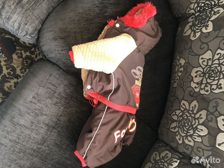 Комбинезон для собак мелких пород