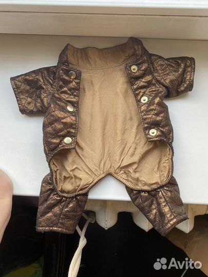 Осенний комбинезон на маленькую собачку