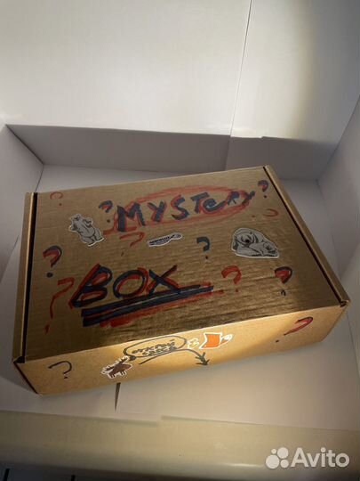 Aeroflot Mystery box