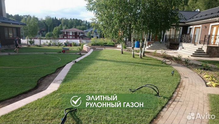 Рулонный газон с доставкой
