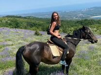 Конные прогулки. Экскурсии на лошадях по �Крыму