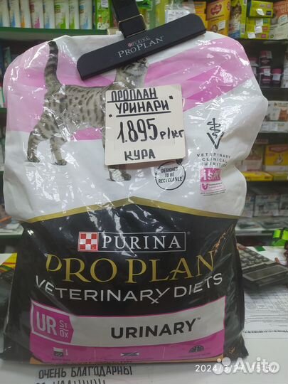 Про План, Альфа пет, Роял Канин