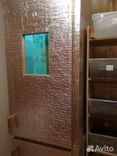 Инсектарий для разведения мухи черная львинка