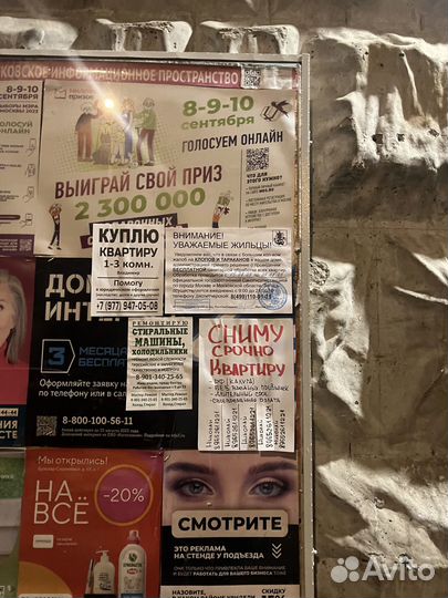 Промоутер расклейка объявлений, распространение по