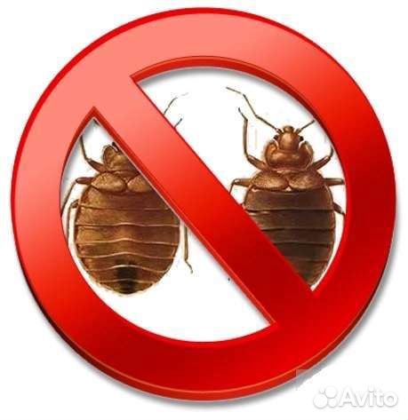 Уничтожение тараканов, клопов, блох