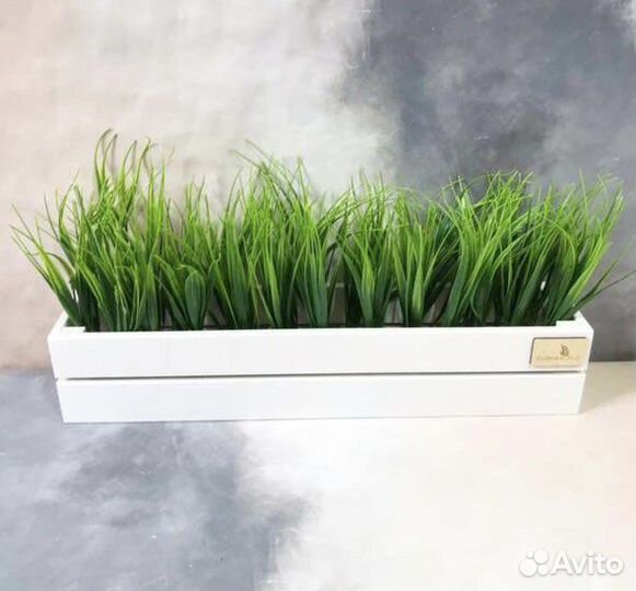 Ящик с зеленью