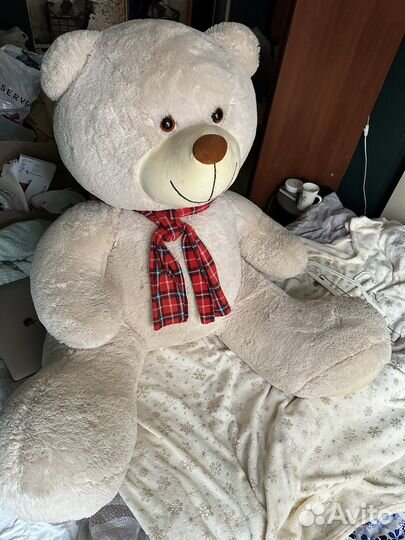 Плюшевый медведь