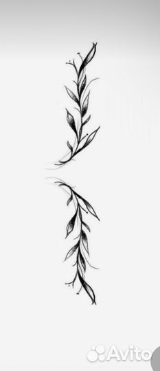 Бесплатно нужны модели на Татуи