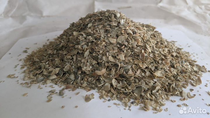 Ракушка кормовая