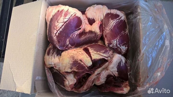 Корма для животных